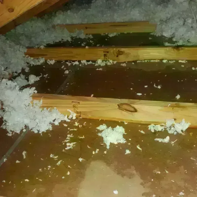 Attic Water Damage in Acushnet Center, MA